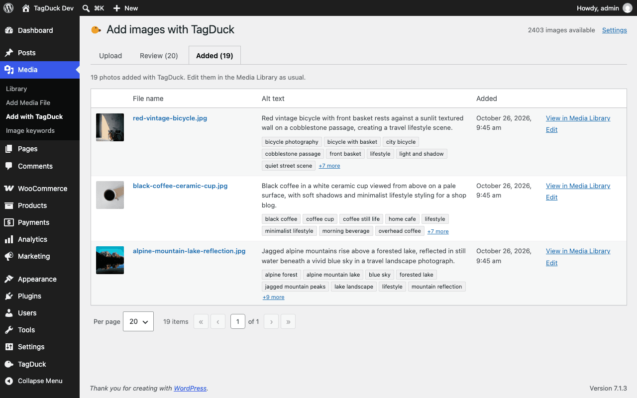 The Added tab listing photos added through TagDuck — a red vintage bicycle, a black coffee cup and an alpine lake — each with its new file name, alt text and keyword chips.